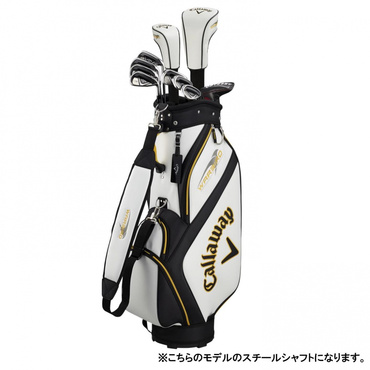 クラブセット WARBIRD キャディバッグ付き 10本セット｜Alpen Online