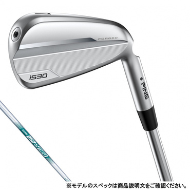 i530 S アイアン 単品 NS PRO 850GH NEO S