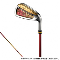 PRESTIGIO13 LADIES ironの画像