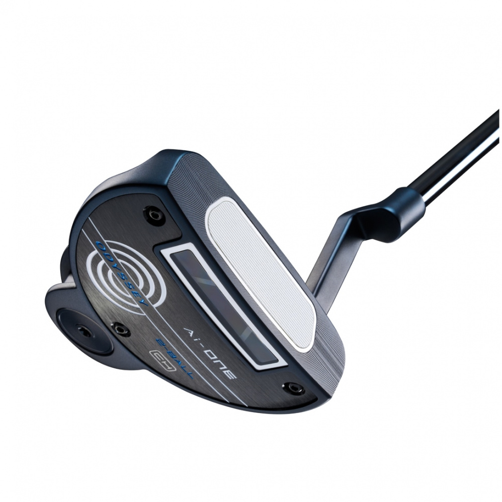 Ai-ONEパター 2-BALL CH｜Alpen Online