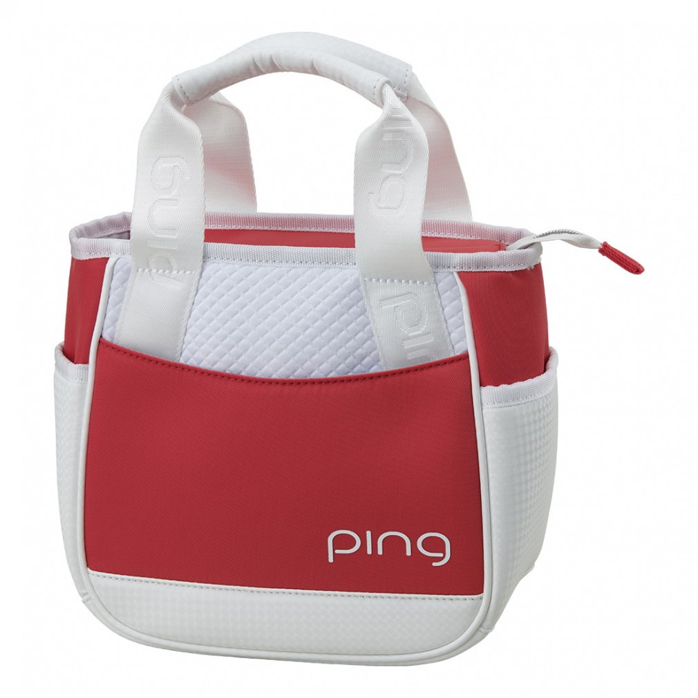 s fB[X GB-L2518 JWAEhg[g (38620-04) St |[` PING