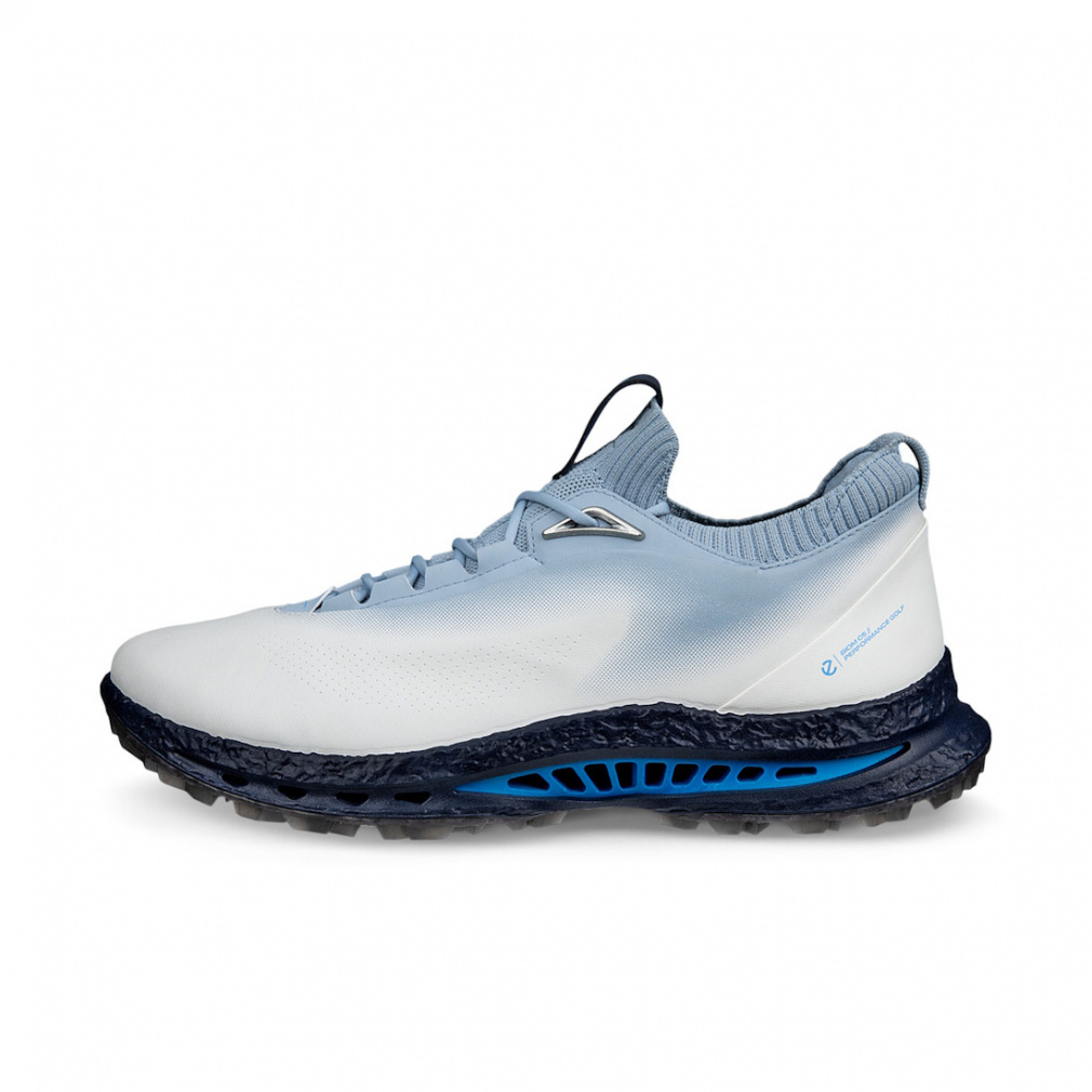 �G�R�[ �S���t�V���[�Y �o�C�I�� �V�[�t�@�C�u BIOM C5 (EG132604) �����Y �S���t �V���[���[�X���X�p�C�N���X�V���[�Y 3E ECCO