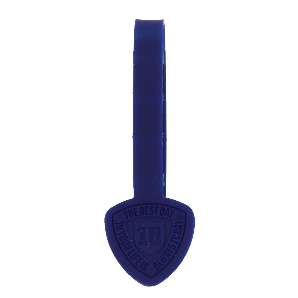 COjI eBz_[ eB4{[\ȃVReBz_[ St Eh IGNIO