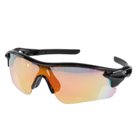 サングラス 偏光レンズ