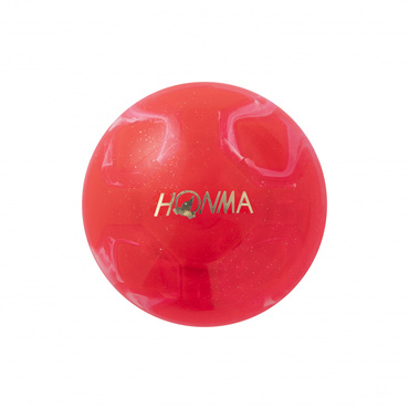 Park Ball PGA2301 LOOPCE RD PGA2301 RD