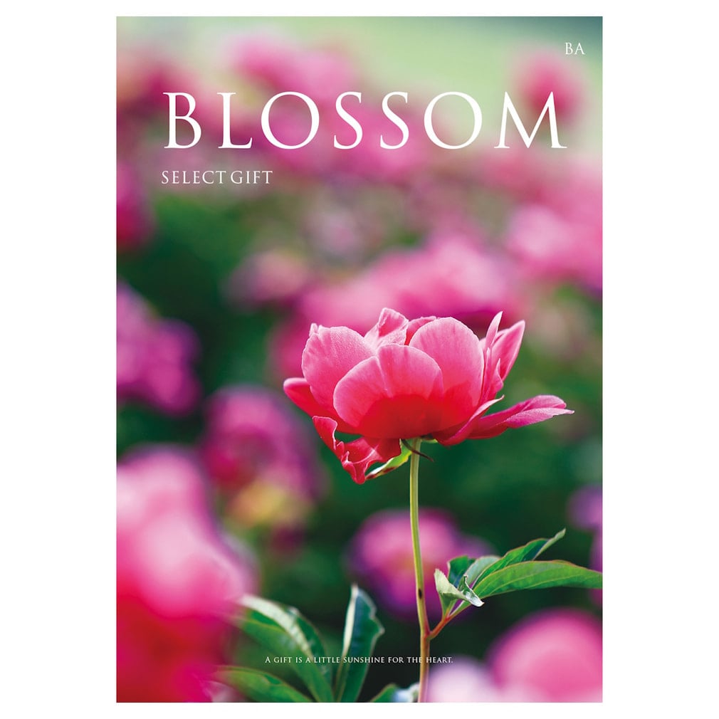 カタログギフト BLOSSOM BAコース BA(-)