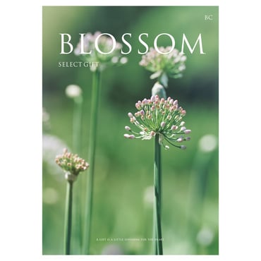 カタログギフト BLOSSOM BCコース BC