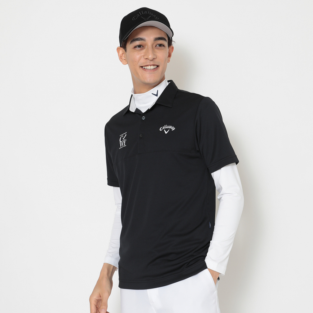 LEFC StEFA ZbgVc H ~ ZbgVc(Ci[t) (C25234108) Y Callaway