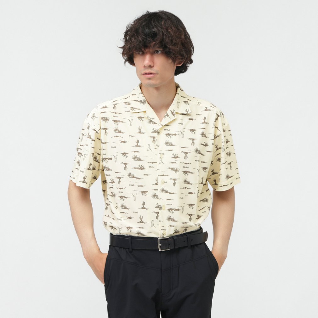 s StEFA Vc H ~ 䂵Vc (6215211801) Y PING