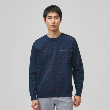 14G地柄クルーネックニットプルオーバー 0536270006