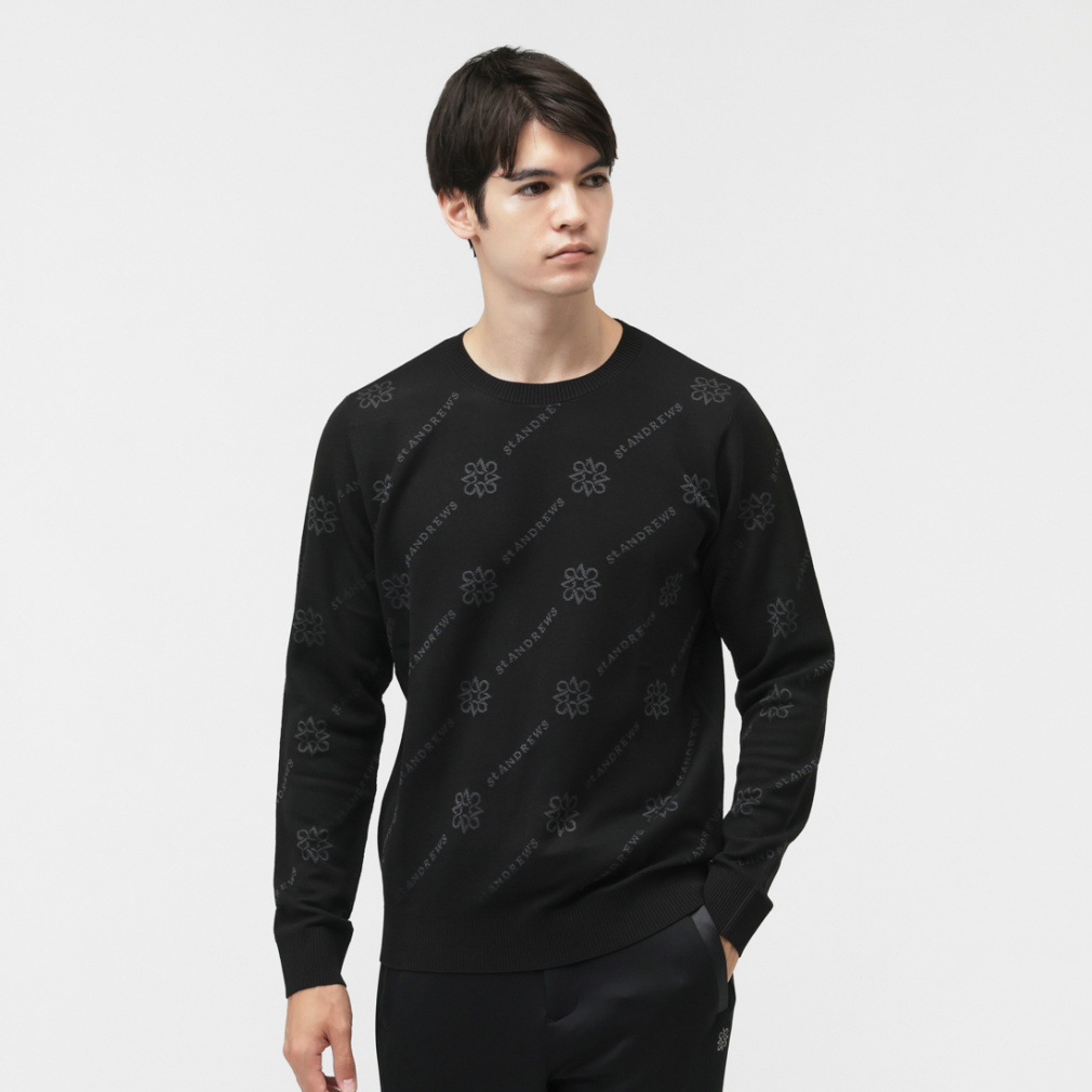 ZgAh[X StEFA Z[^[ H ~ 14GSPgWK[hvI[o[jbg (0425270951) Y St ANDREWS