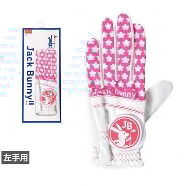 アルペン限定グローブ片手 2625985274