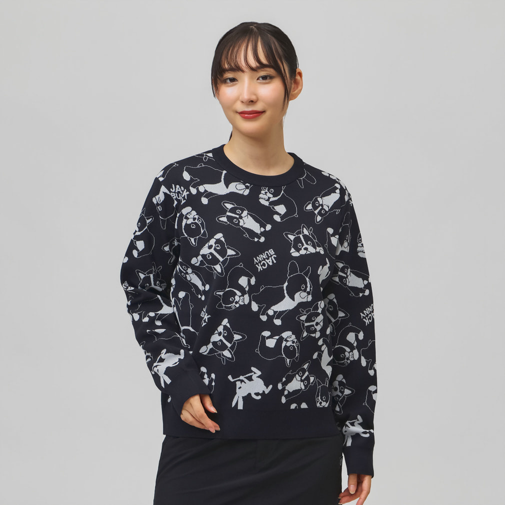 0サイズS ジャックバニー 天竺 セーター レディース ゴルフウェア 新品 ジャックバニー レディース セーター」の人気商品一覧・価格比較