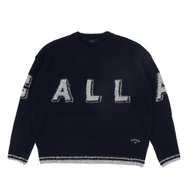 メタリックロゴクルーネックニット C24218203