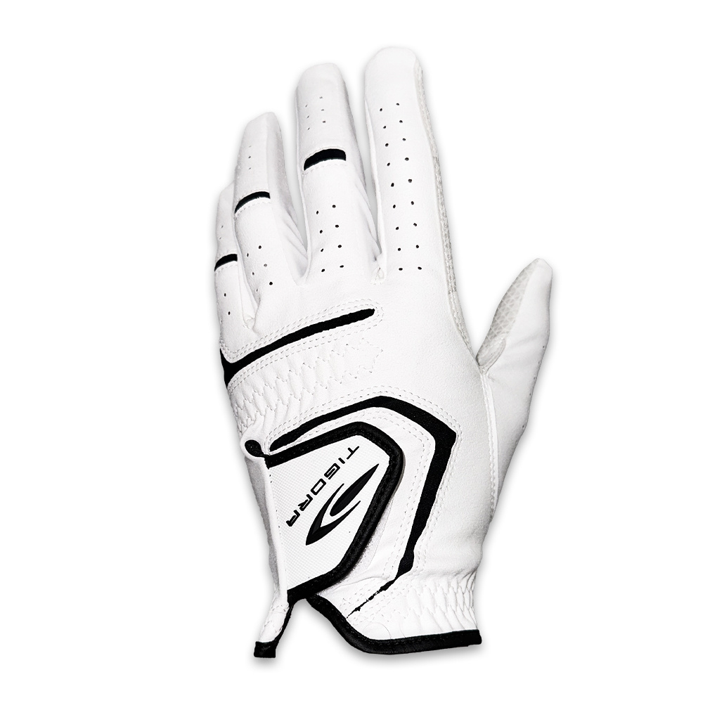 eBS StO[u TR-1G1434 tBbgƃObv͂𗼗 Y TIGORA