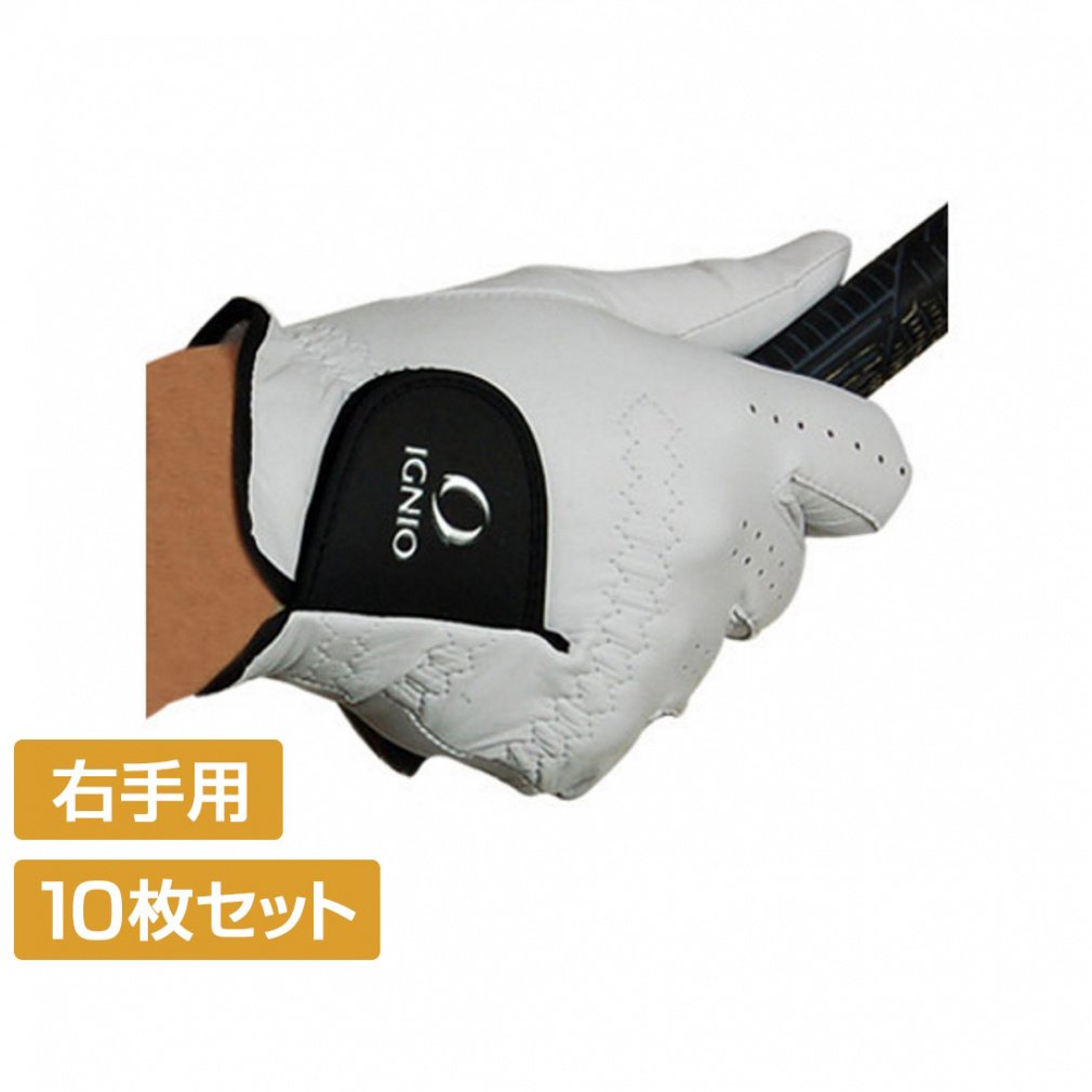 10Zbg COjI StO[u Y E VRrv IG-1G1036GG ܂Ƃߔ IGNIO