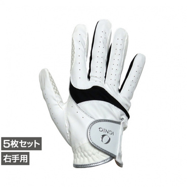 5枚セット IG-1G1345R グローブ