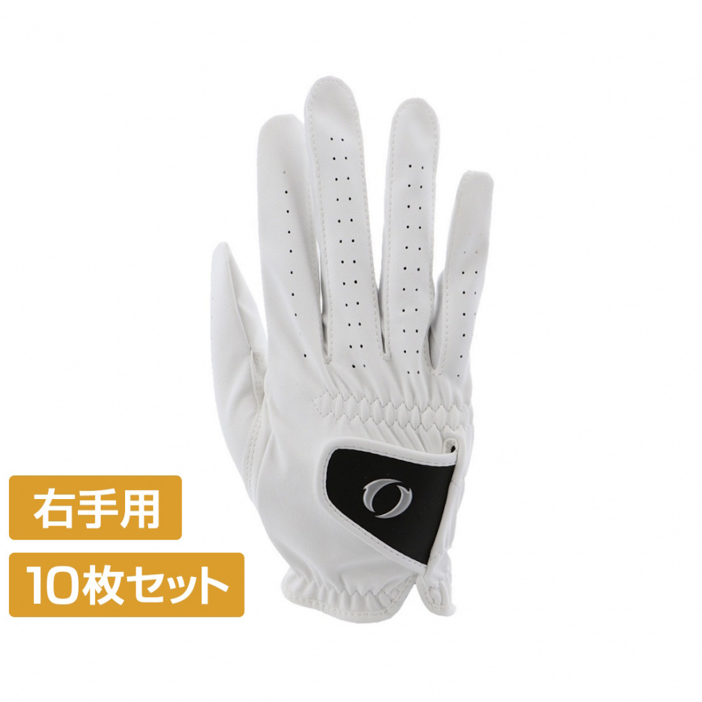 10Zbg COjI StO[u E 1856064110 Ђ瑤Aet Y ܂Ƃߔ IGNIO