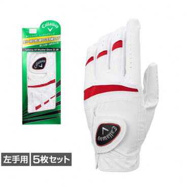 5枚セット グローブ 4518569361