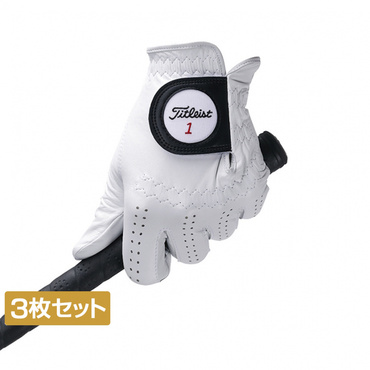 3枚セット プロフェッショナル グローブ TG73 6665288058