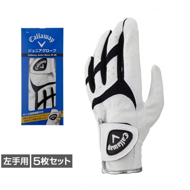 5枚セット グローブ 0228685209