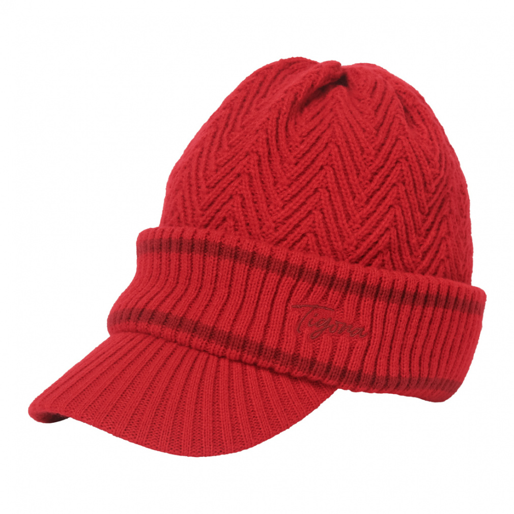 eBS StEFA jbgXq H ~ cotjbgXq jbgLbv h (TR-1C1554KC) Y TIGORA