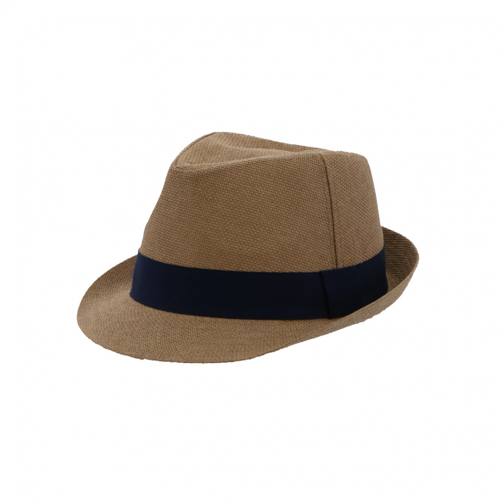 eBS StEFA nbg t  y[p[nbg (TR-1C1205HT) Y TIGORA