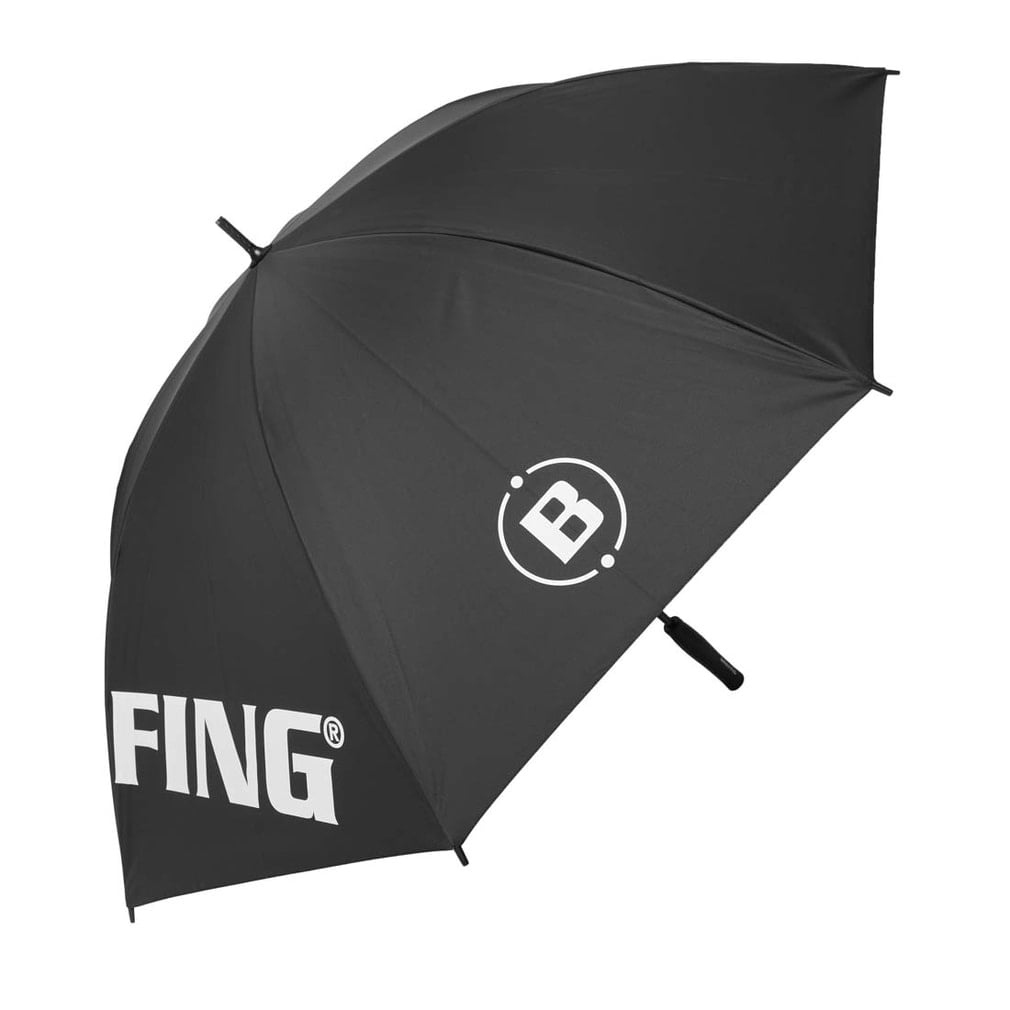 ブリーフィング CARBON SHAFT UMBRELLA 2 (BRG243G23) ゴルフ 傘