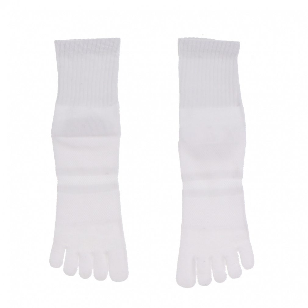 eBS StEFA \bNX t  n 5wV[g\bNX (IG-1K1375GY) Y TIGORA