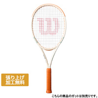 CLASH 100 V3 RG 26 FRM 2の画像