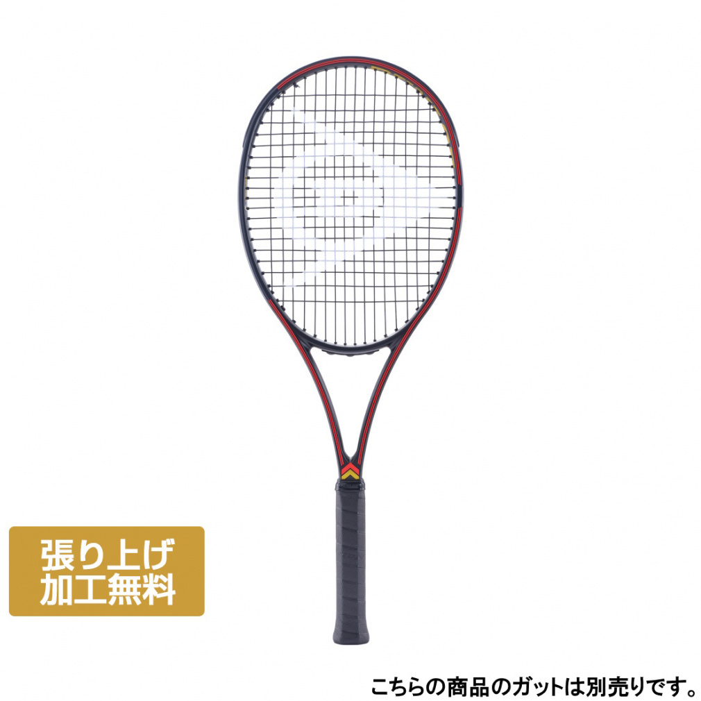 _bv Ki CX 200 BLACK 胂f 25DCX200 BK DS22506 dejX 胉Pbg : ubN×bh DUNLOP