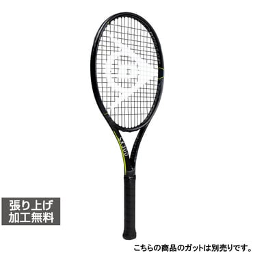 ダンロップ 国内正規品 25SX 300 ライト DUNLOP SX 300 LITE DS22503