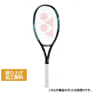 EZONE100L