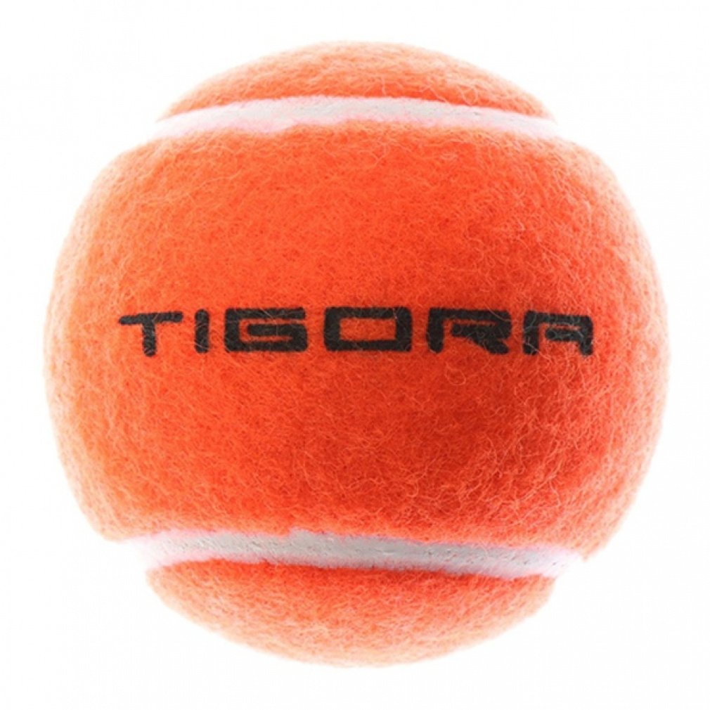 eBS dejX mvbV[{[ : IW×IW TIGORA