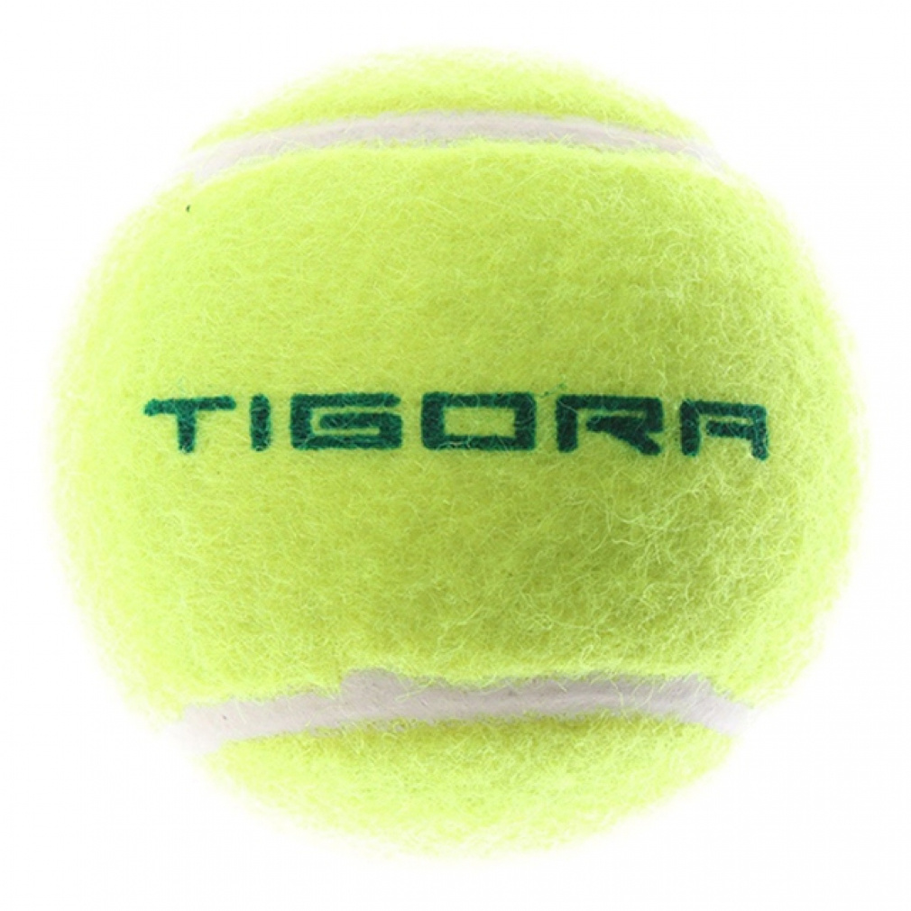 eBS dejX mvbV[{[ : CG[×CG[ TIGORA