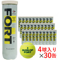 ダンロップ FORT フォート 箱売り(120球)/4球×30缶入り DFCPFYLPT4