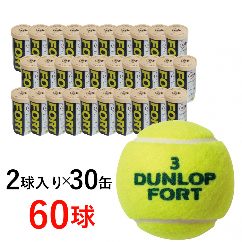 テニスボール　辰　30缶 フォート 2球×30缶(60球)｜Alpen Online