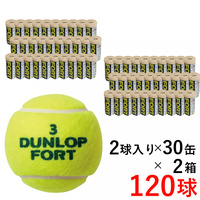 FORT テニスボール 2個×20缶 硬式テニスボール FORT 2個入 イエロー ダンロップ｜DUNLOP 通販