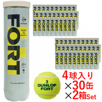 ダンロップ FORT フォート 4球×30缶×2箱(240球) DFCPEYLPT4 2ケース