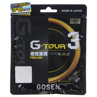 G-ツアー3 17
