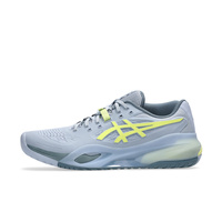 ゲルレゾリューション 10の画像