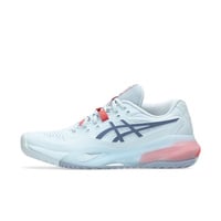 ゲルレゾリューション 10の画像