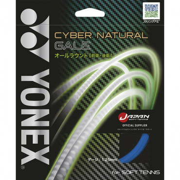 サイバーナチュラルゲイル