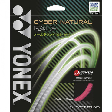 サイバーナチュラルゲイル