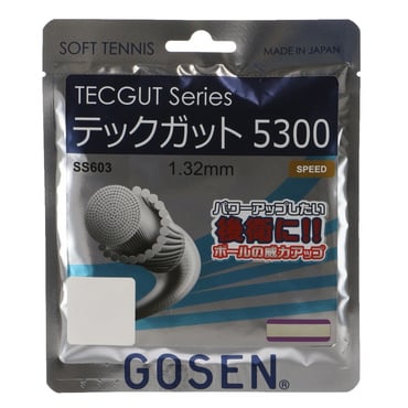 テックガット5300