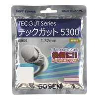 TECGUT 5300 ナチュラル｜Alpen Online