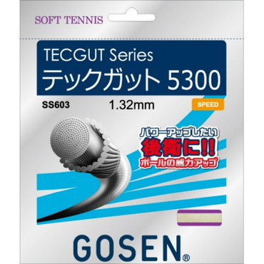 軟式テニス ストリング