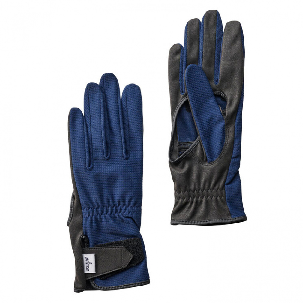 vX fBX ejX O[u TJ AiALOO[u PG987 : lCr[ Prince