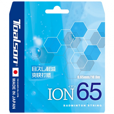 イオン65