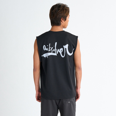 IMPAIRED LOGO SLY